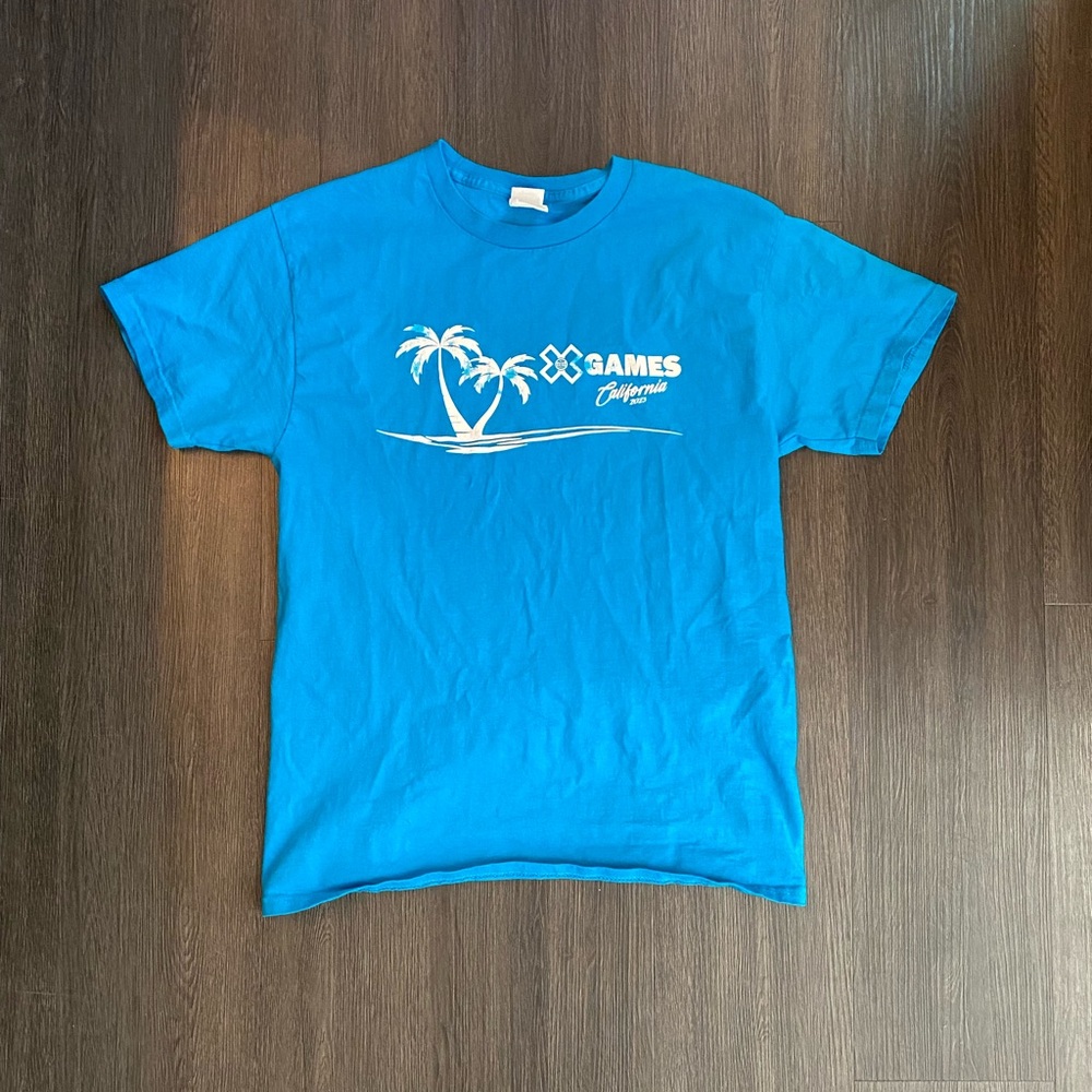 Hanes Blue Graphic T-Shirt